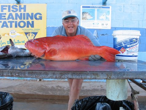 EXMOUTH  TROUT